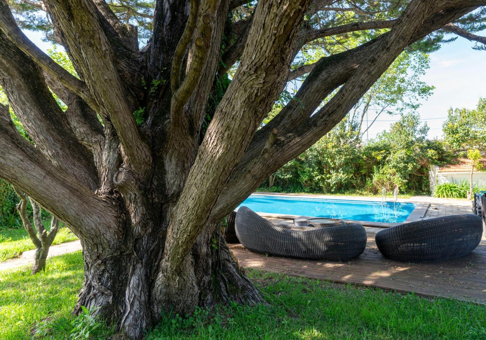 Villa Das Rosas Sintra Zewnętrze zdjęcie