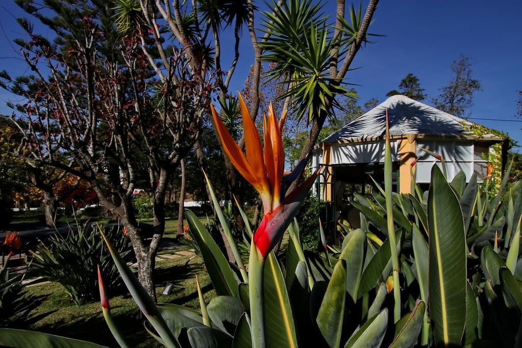 Villa Das Rosas Sintra Zewnętrze zdjęcie